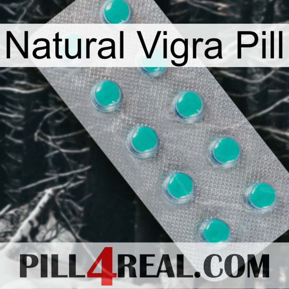 Natural Vigra Pill 28.jpg